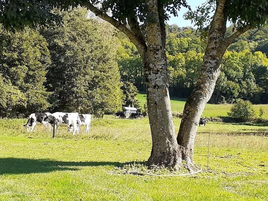 Villa Reflets De Montagnes Aubessagne